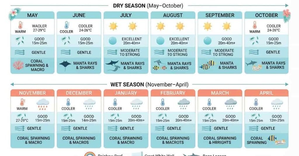 Best months to scuba dive in Fiji showing seasonal conditions, visibility, and marine life