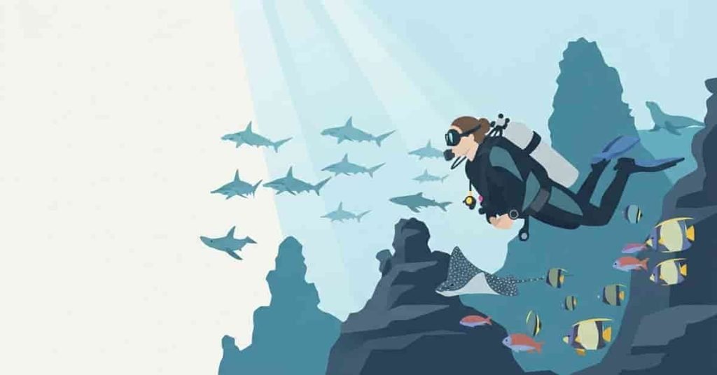 Scuba diver surrounded by marine life in the Galapagos Islands