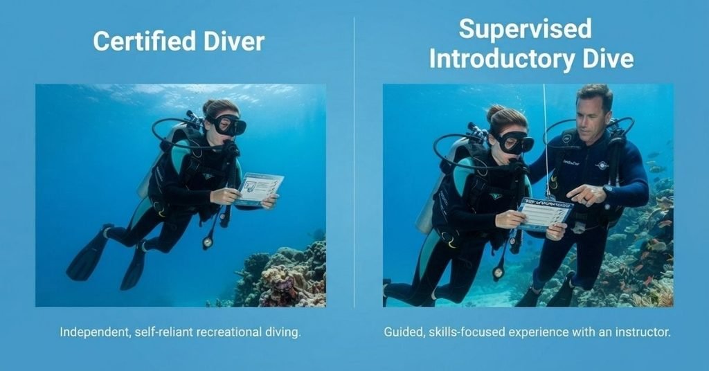 Scuba certification requirements and supervised introductory dive comparison